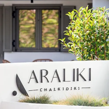 Araliki 폴리크로노