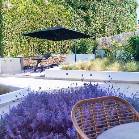 Araliki 폴리크로노