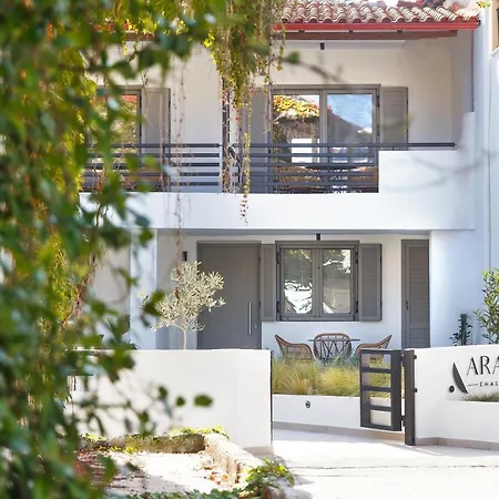 Araliki 폴리크로노