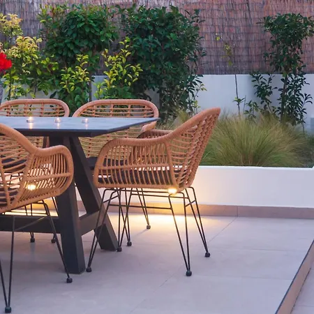 Araliki * 폴리크로노