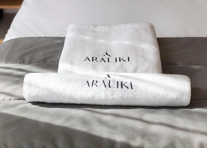 Διαμέρισμα Araliki