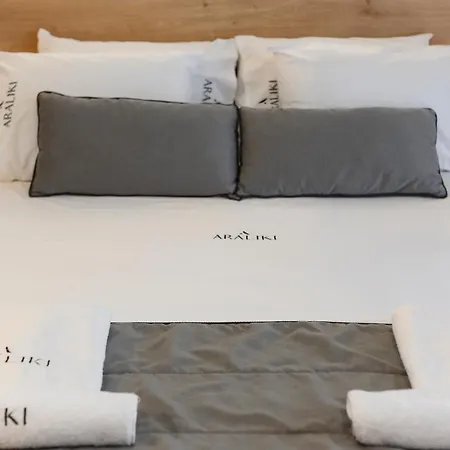 Apartament Araliki Polychrono