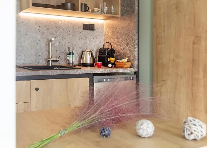 Apartamento Araliki *