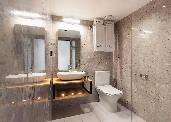 Apartment Araliki *